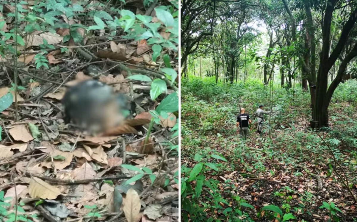 Ossada humana é encontrada em mata perto de universidade de Anápolis