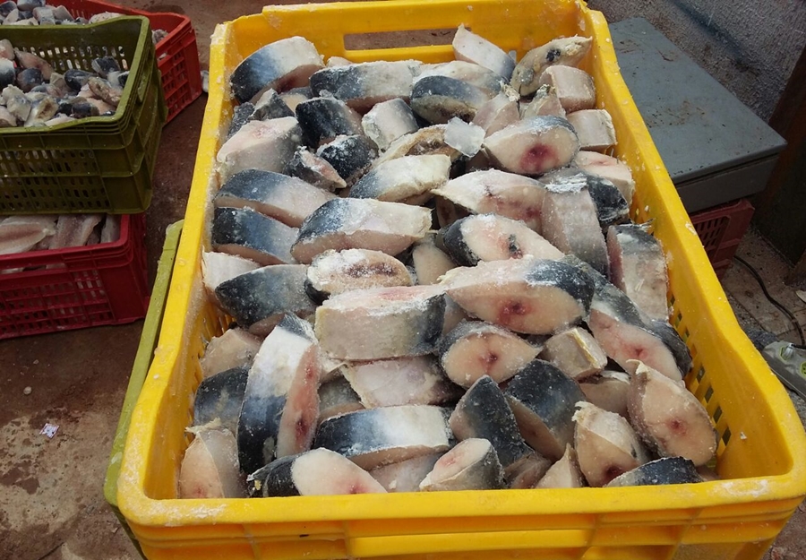 (Foto: Divulgação)