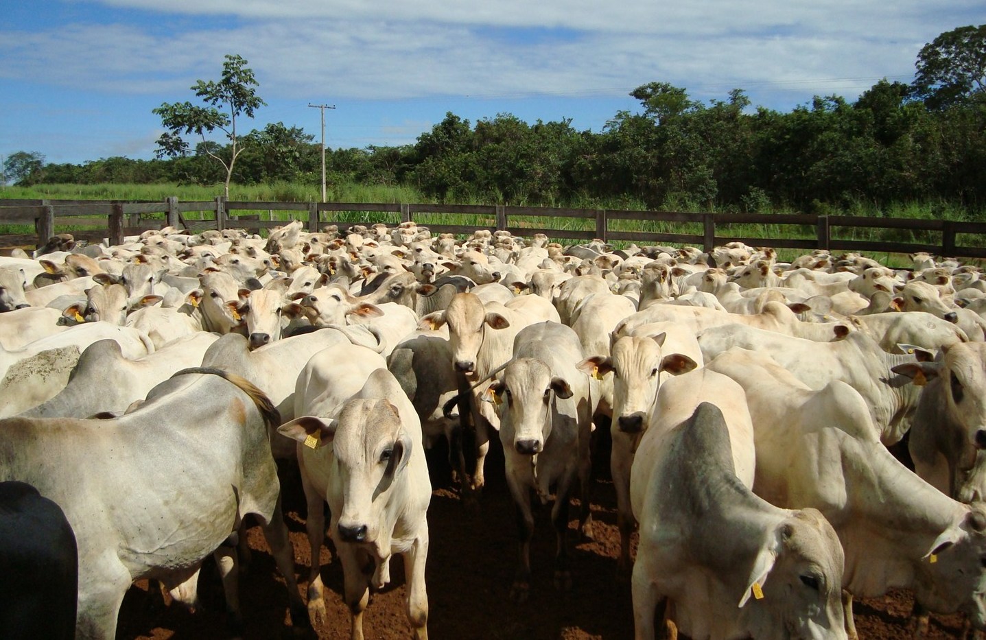 PIB do estado de Goiás aumenta 4,4% no segundo trimestre de 2021
