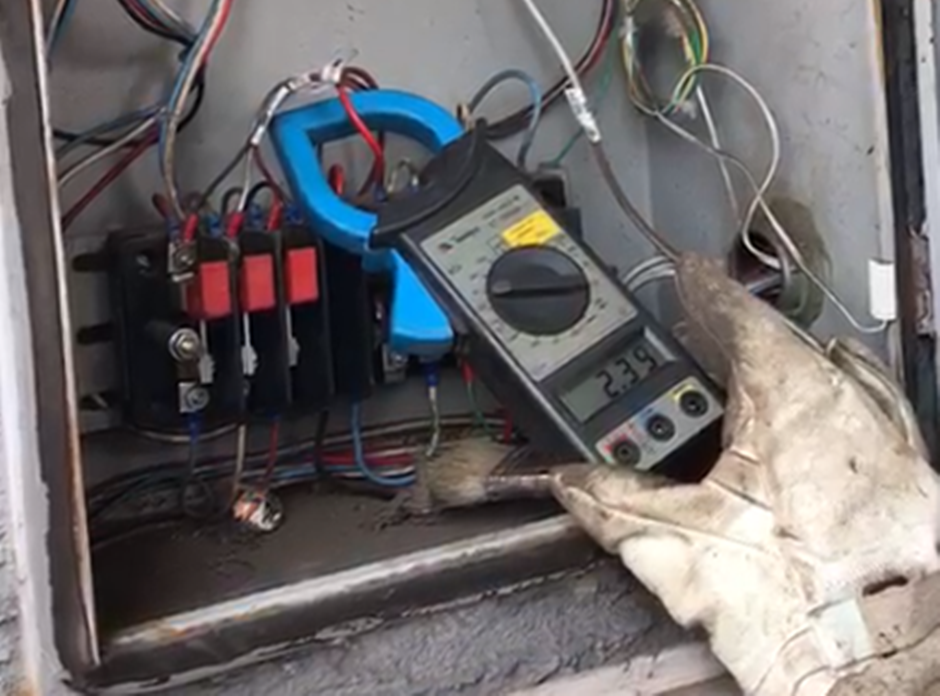 Operação foi realizada em Goiânia e Aparecida pela Polícia Civil em parceria com a Celg. (Foto: Polícia Civil)