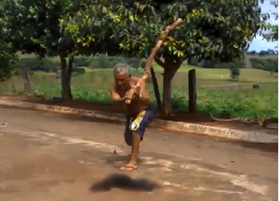 Homem desfere vários golpes até a morte do animal (Foto: Leitor/ Mais Goiás)
