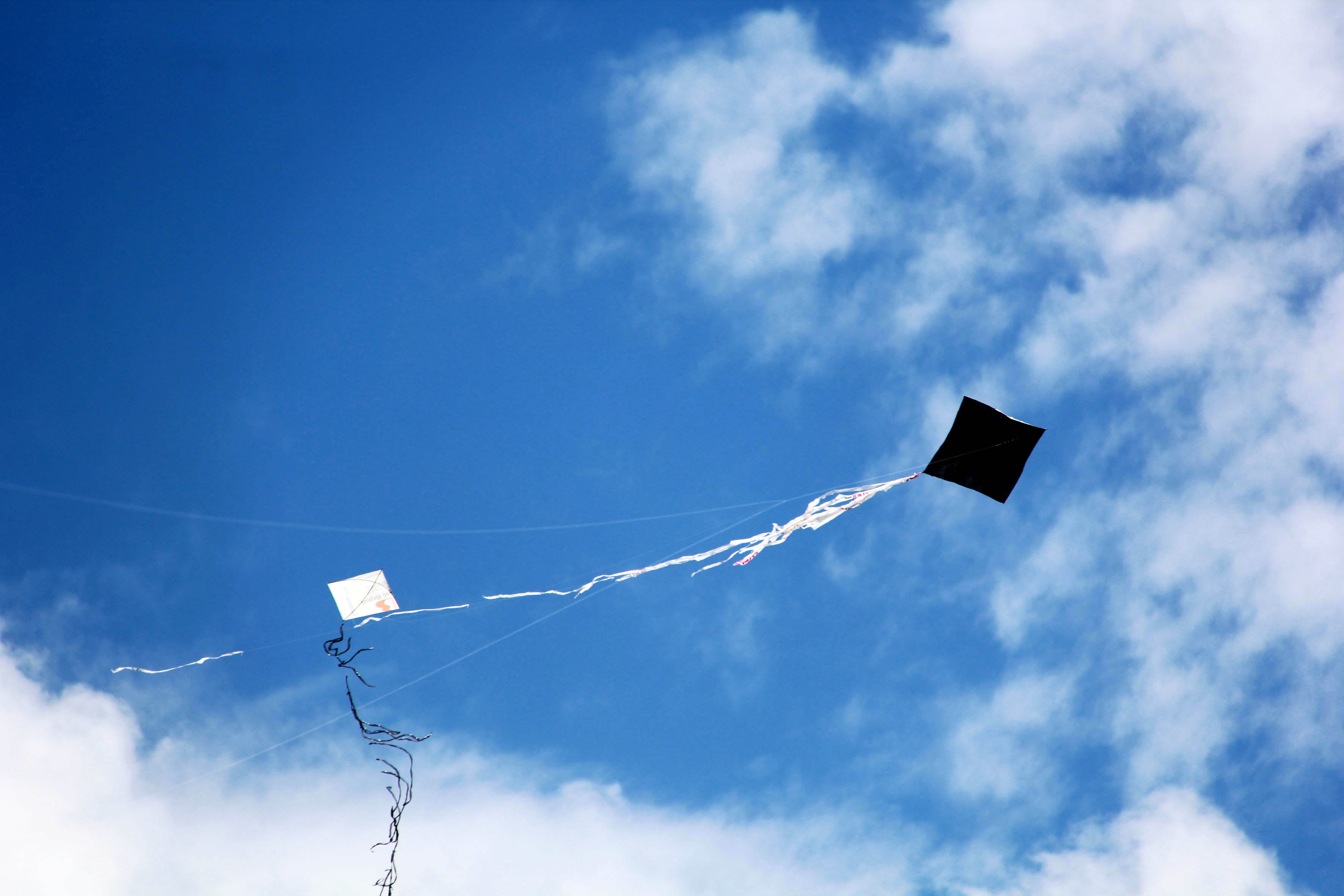 Doze pipas foram apreendidas na área do Aeroporto de Goiânia neste semestre