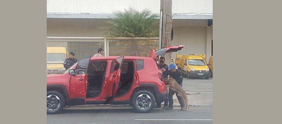 Carro em que pesquisadora estava, sendo vistoriado por cães farejadores: 1kg de haxixe (Foto: PM-DF)