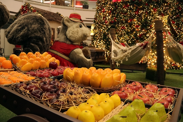 Natal - Shopping Flamboyant (Foto: Reprodução)