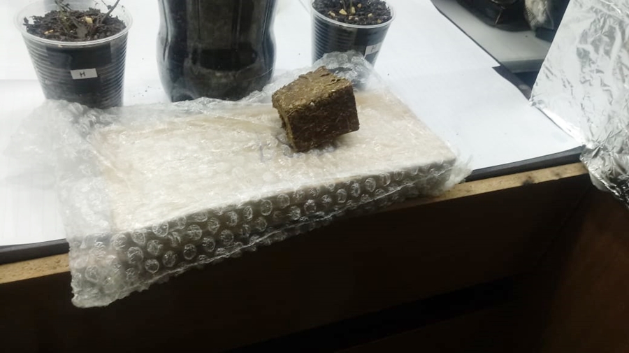 Homem mantinha estufa dentro do guarda-roupa para cultivar maconha (Foto: Divulgação / PM)