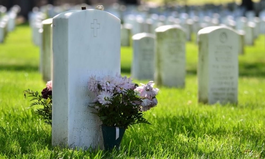 Finados: Preço de flores pode variar até 300%