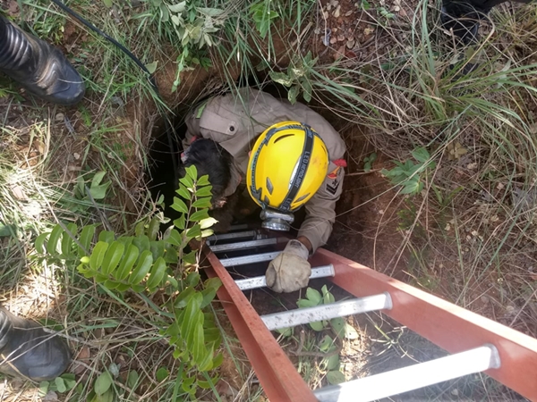 (Foto: Divulgação / Corpo de Bombeiros)
