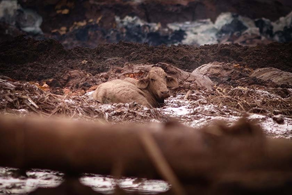 Vale tinha uma caixa-preta de informações sobre barragens, diz promotor