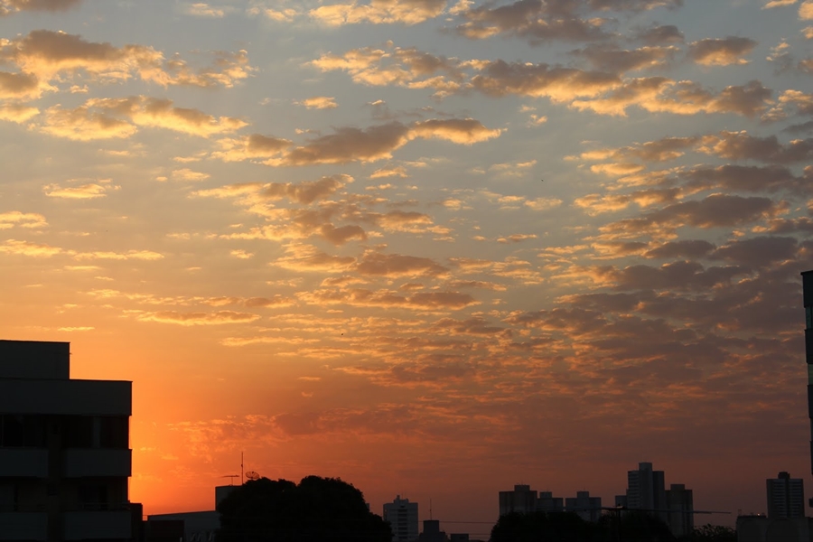 Áreas com muitos prédios e pouca vegetação criam as Ilhas de Calor Urbano e são mais quentes