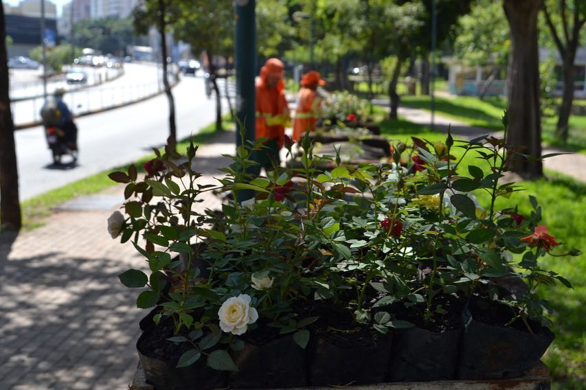 Vândalos furtaram, danificaram as floreiras e deixaram sujeira na calçada (Foto: Divulgação)