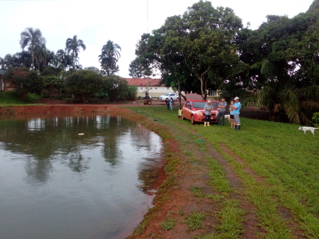 (Foto: Divulgação / Corpo de Bombeiros)