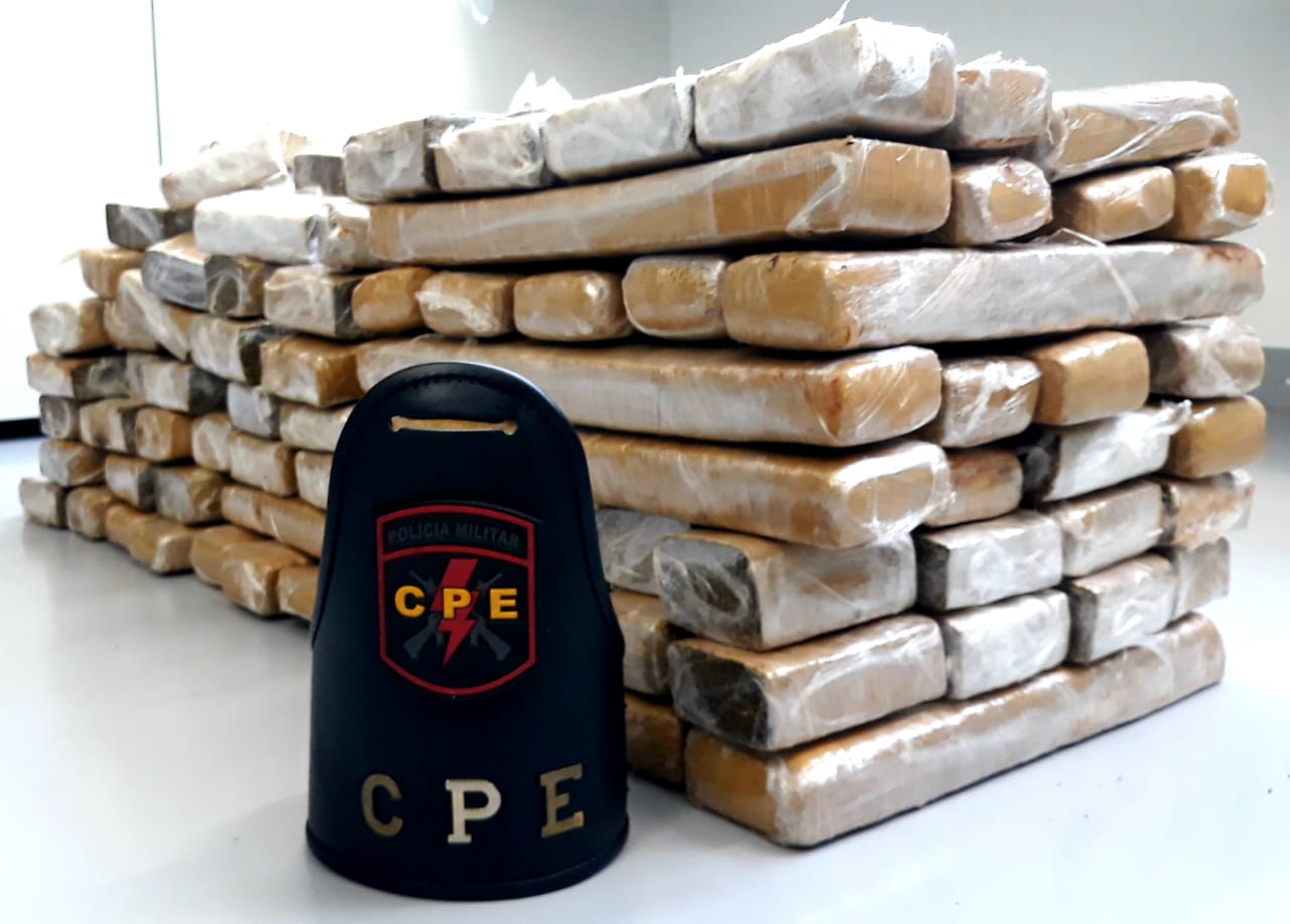 Tabletes de maconha (Foto:Divulgação/PM)