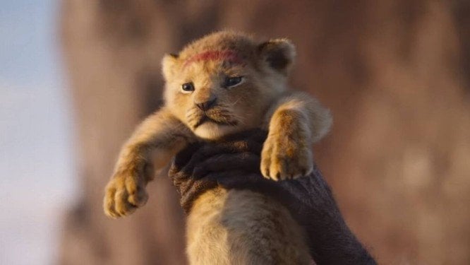 Simba no novo O Rei Leão