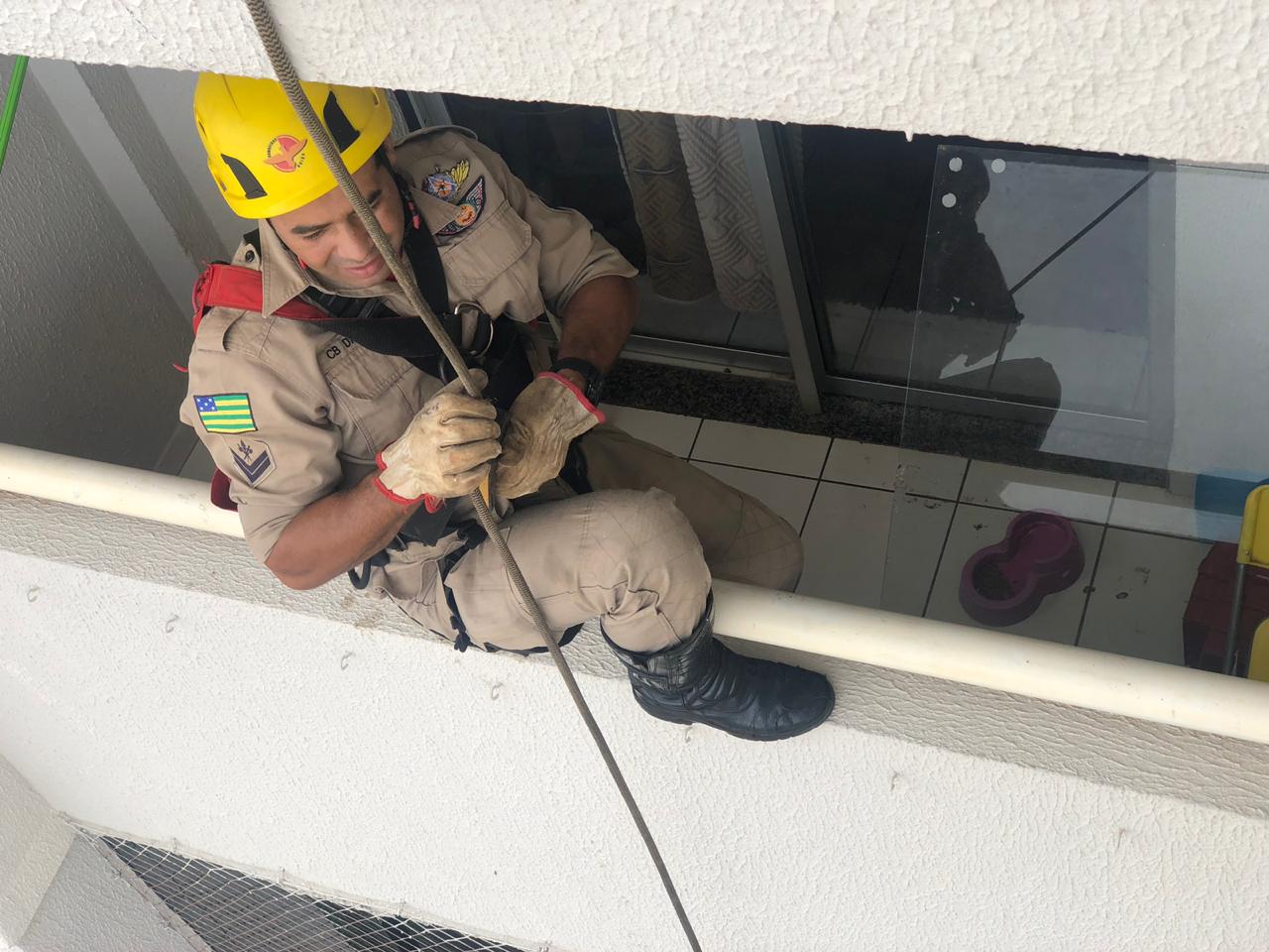 (Foto: Divulgação / Corpo de Bombeiros)