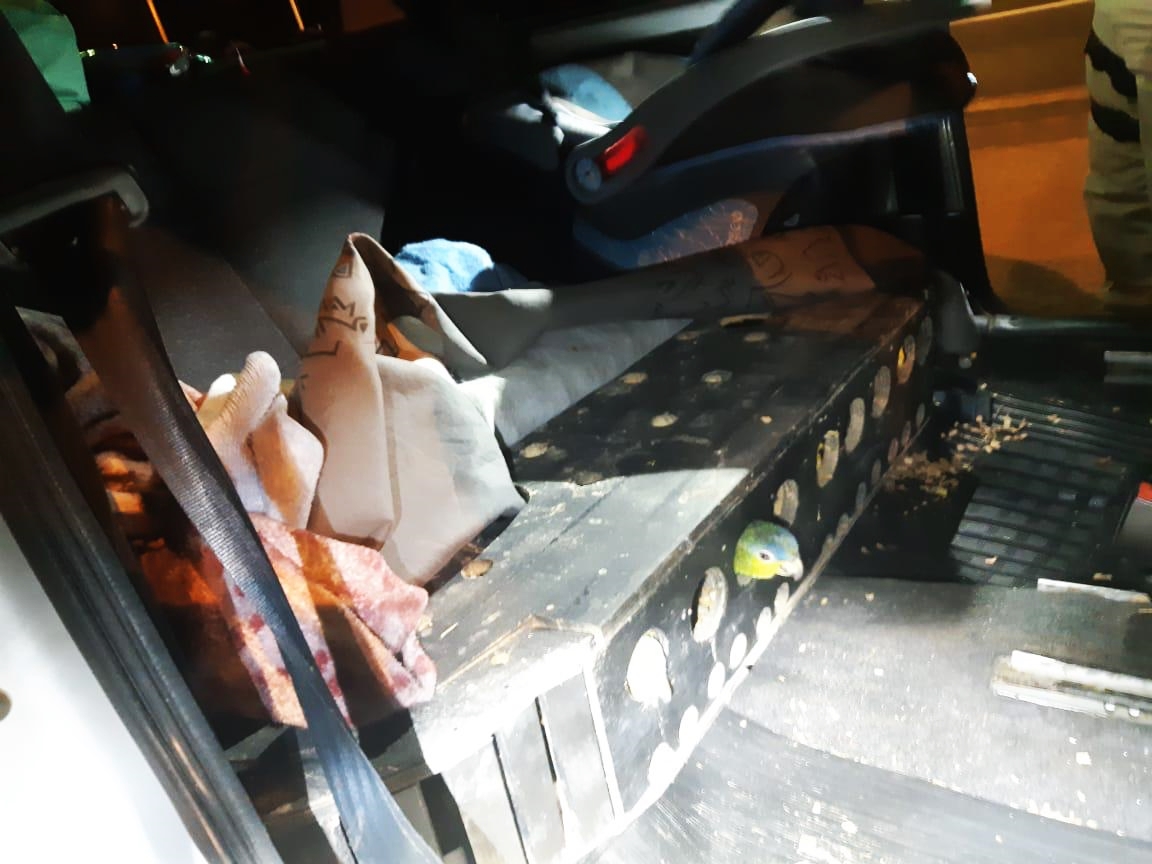 (Foto: Divulgação / PRF)