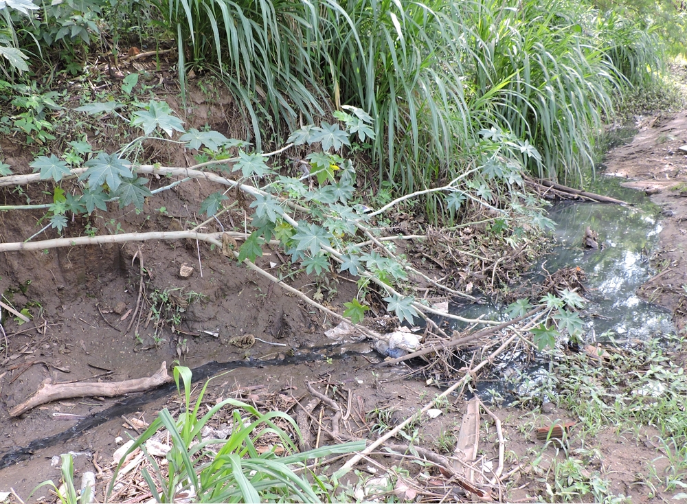 (Foto: Divulgação / MPGO)