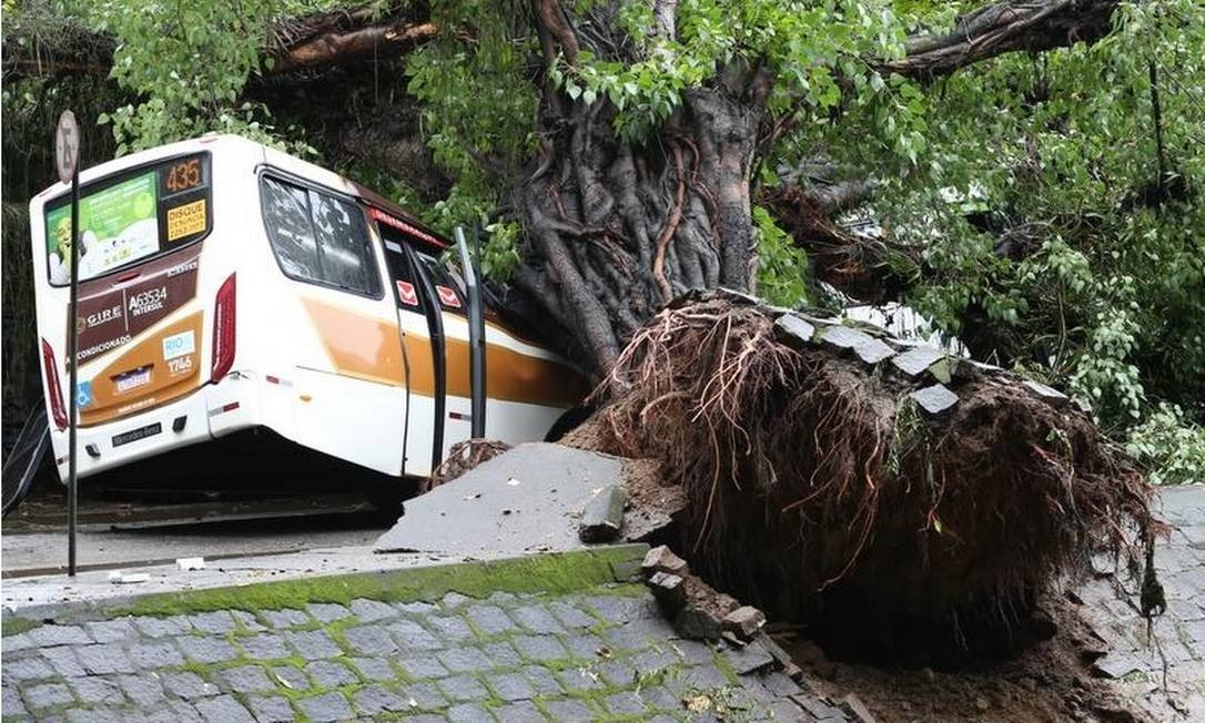 Um dos ônibus atingido pela árvore que caiu na Av. Visconde de Albuquerque, no Leblon (Foto: Pedro Teixeira - Agência O Globo)