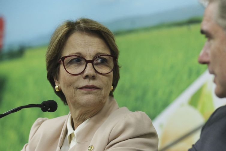 A ministra da Agricultura, Pecuária e Abastecimento, Tereza Cristina, e o secretário de Comércio e Relações Internacionais, embaixador Orlando Leite Ribeiro, falam sobre a viagem de uma comitiva do ministério a quatro países asiáticos. (Foto: Arquivo - Agência Brasil)