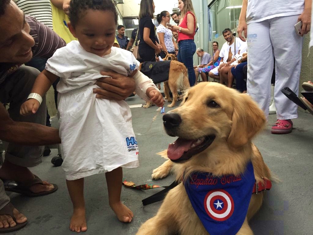 O pequeno Francesco todo alegre brincando com o golden retriever Simba (Foto: Fabricio Moretti/Mais Goiás)