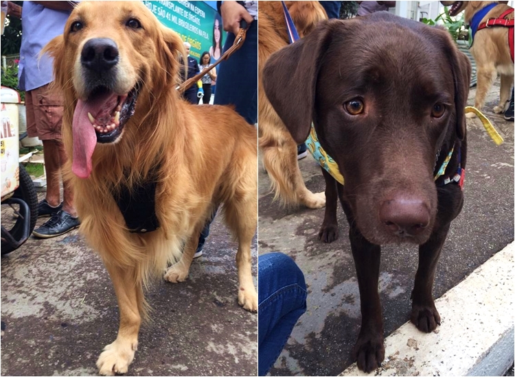 Lipe (à esquerda) e Baru (à direita) já participaram de várias ações em hospitais (Foto: Fabricio Moretti/Mais Goiás)