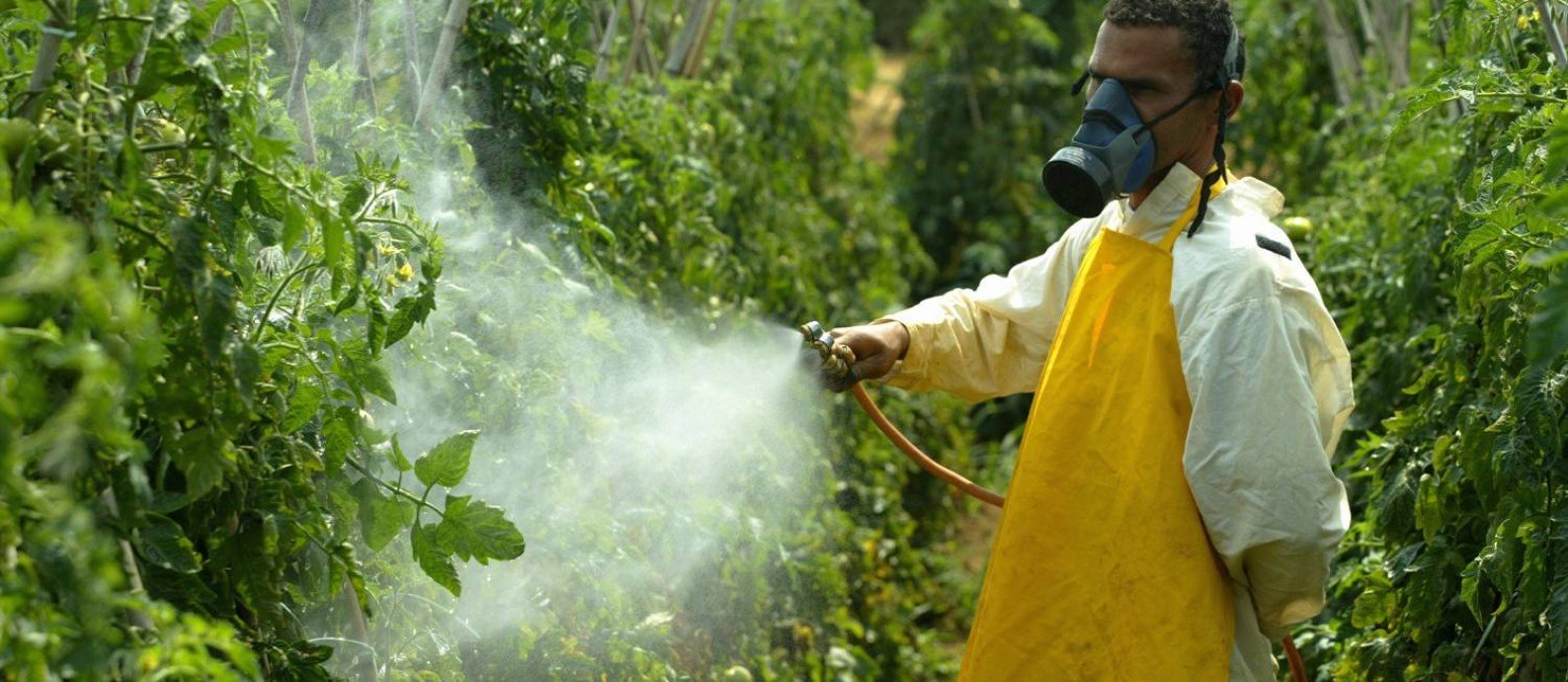 agrotóxicos