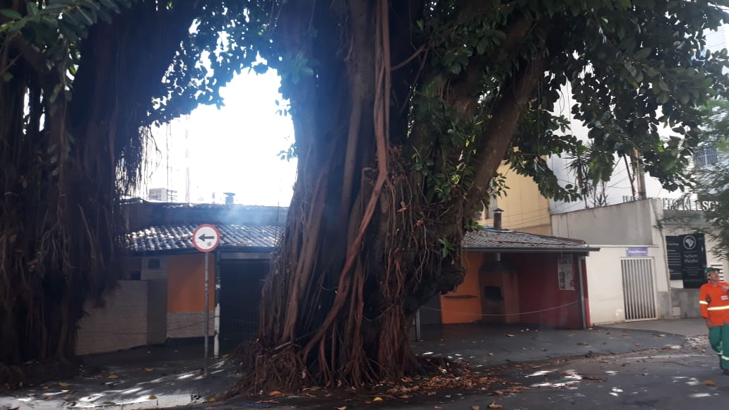 (Foto: Divulgação / Defesa Civil)