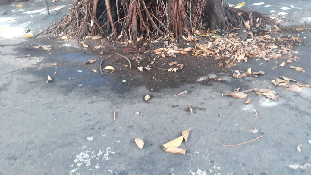 (Foto: Divulgação / Defesa Civil)