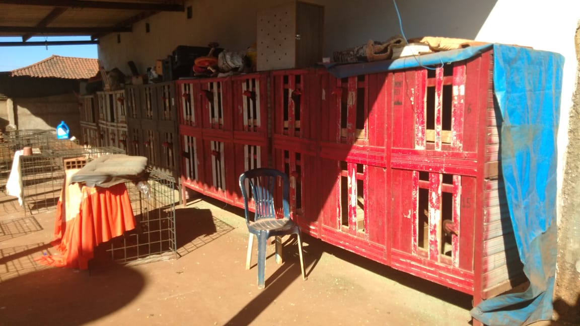 (Foto: Divulgação / PM)