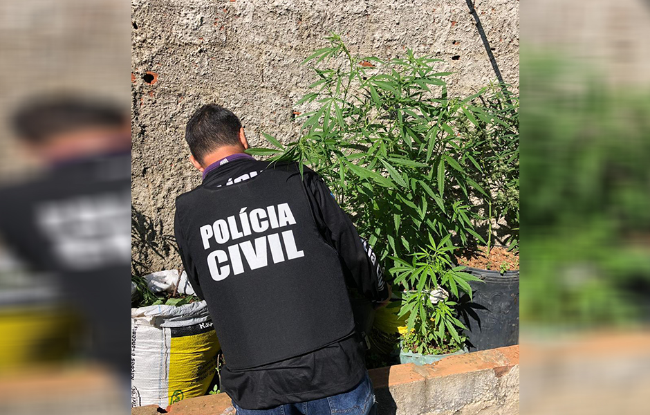 (Foto: Divulgação / PC)