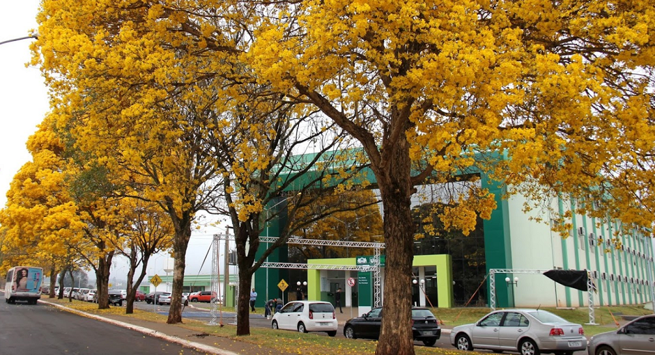 Justiça determina que universidade deixe de cobrar mensalidades de estudantes que colaram grau de forma antecipada