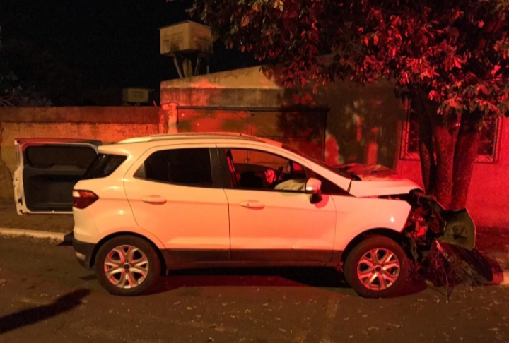 (Foto: Divulgação / PC)