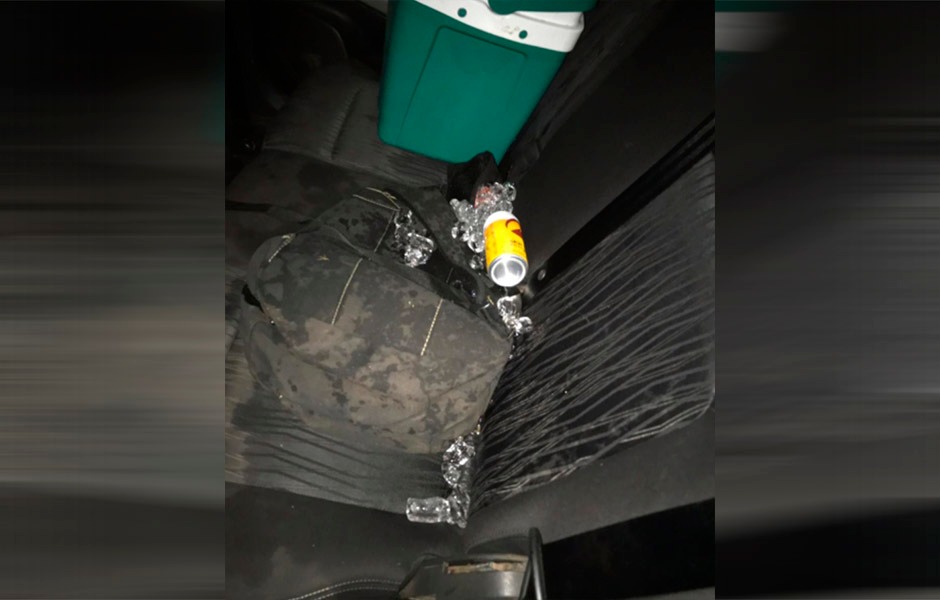 (Foto: Divulgação / PC)