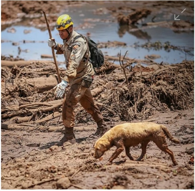 Justiça acata denúncia contra 11 executivos da Vale e 5 da Tüv Süd por Brumadinho