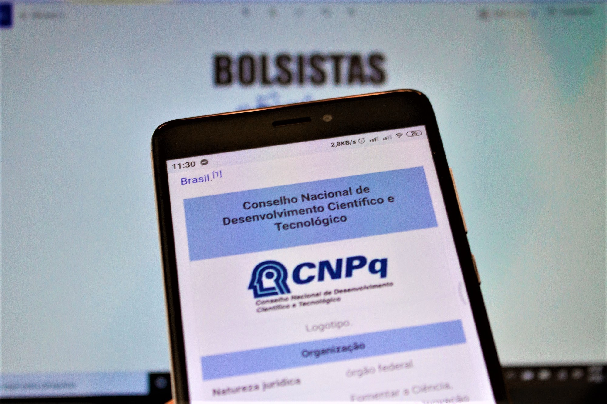 CNPq Plataforma Lattes é restabelecida após duas semanas de instabilidade Já são dez dias que a plataforma Lattes está fora do ar