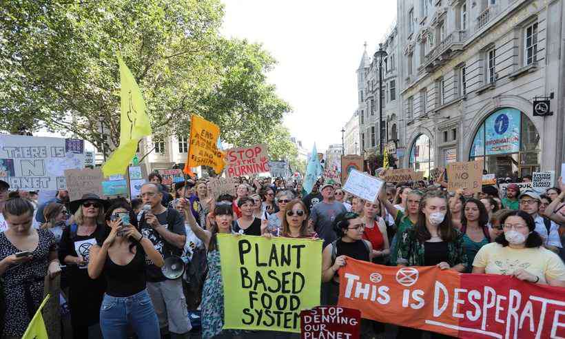 Manifestantes pedem que presidente Bolsonaro entre na defesa da Floresta Amazônica