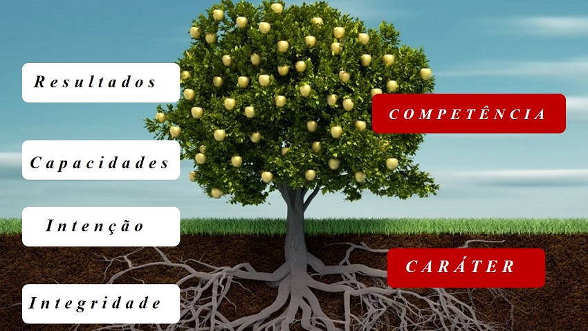 Árvore da confiança