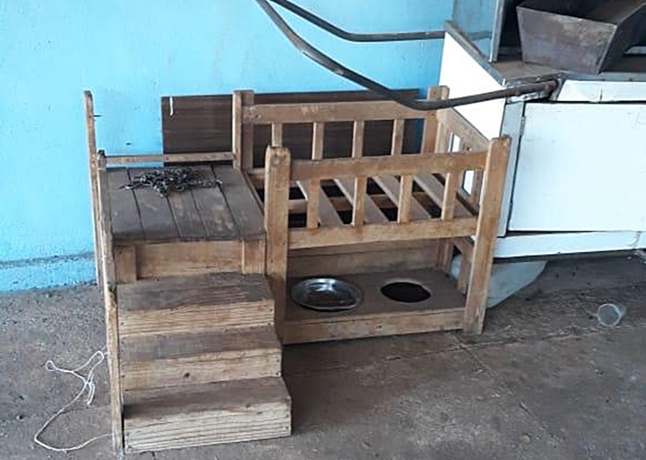 Cadela estava sem alimentos (Foto: Divulgação / PC)