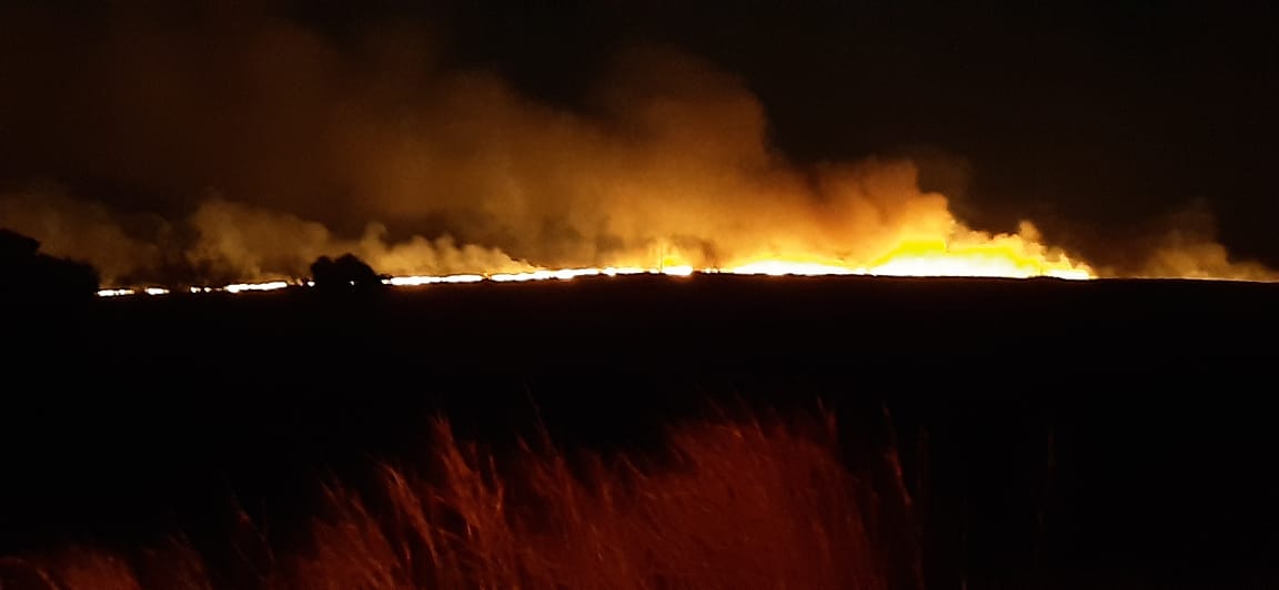 (Foto: Divulgação / bombeiros)