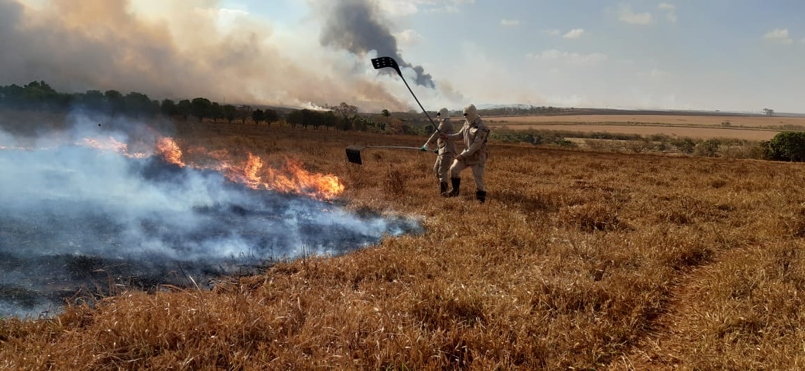 (Foto: Divulgação / bombeiros)