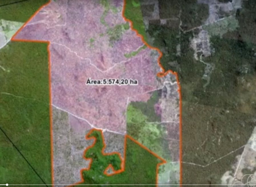 Área desmatada equivale a 6 mil estádios do Maracanã