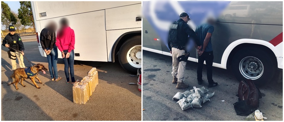 Prisões ocorreram em dois ônibus que ligam Campo Grande (MS) à Goiânia (Foto: Divulgação/PRF)