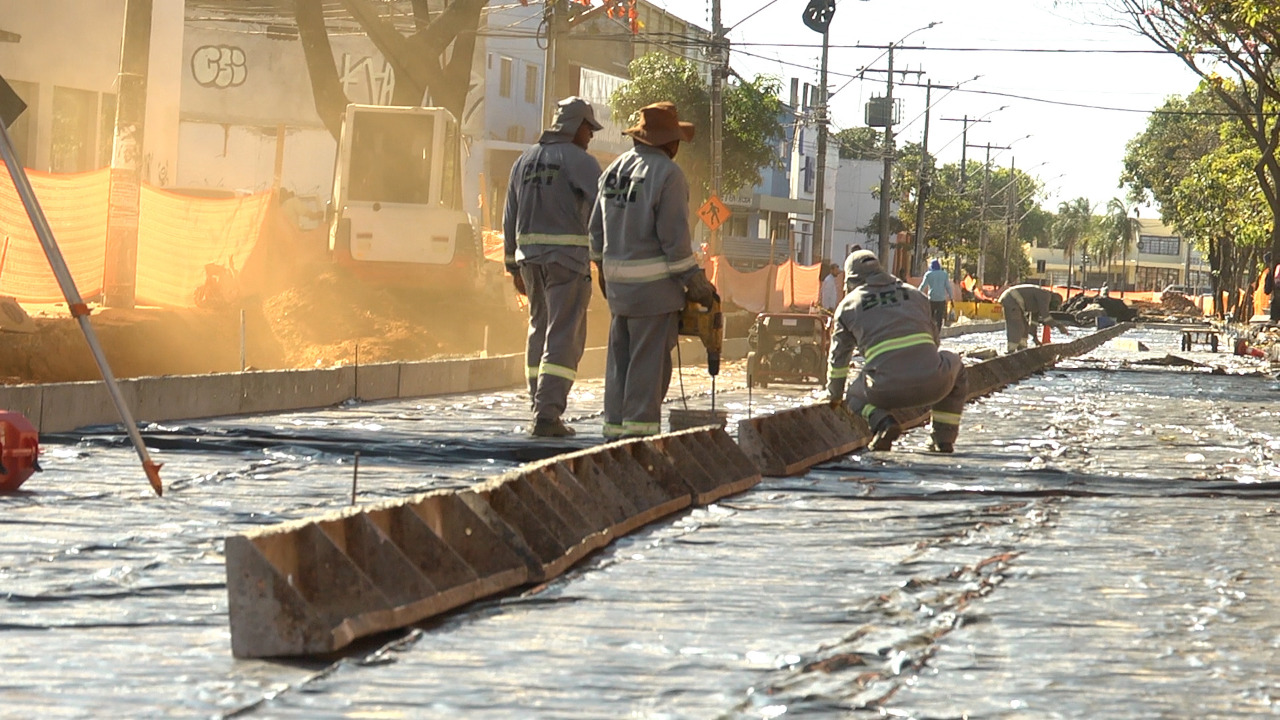 Compensação Ambiental com replantio de árvores deve ser feito na Av. Goiás, em Goiânia. (Foto: Divulgação/Seinfra)