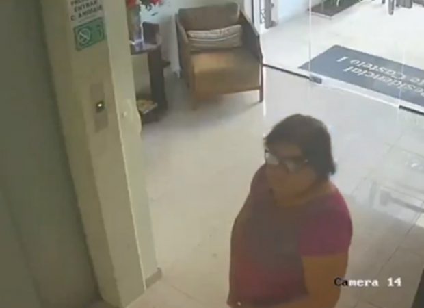 (Foto: Divulgação / PC)