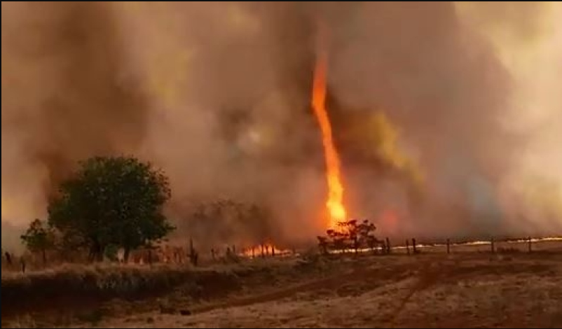 Série de incêndios tem preocupado o prefeito de Santa Helena, que acredita se tratarem de incêndios criminosos (Foto: Reprodução / O Popular)