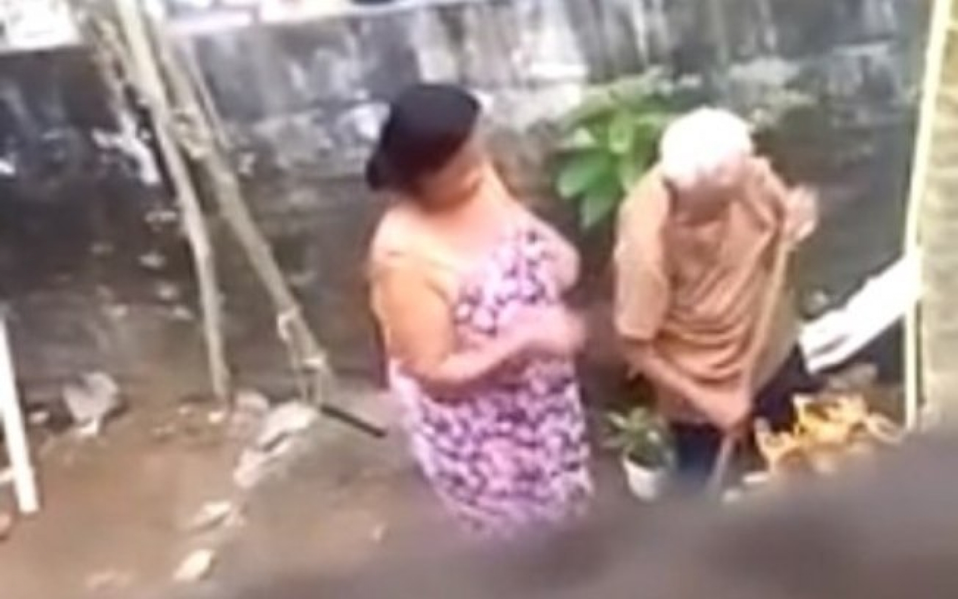 Delegacia Especializada de Proteção ao Idoso cumpriu mandado de prisão preventiva da filha nesta quinta-feira (19) após análise do material.