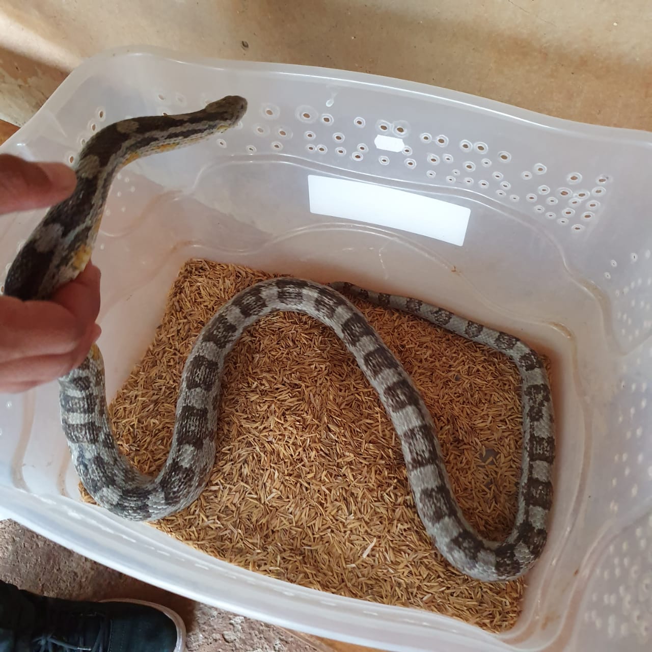 (Foto: Divulgação / PM)