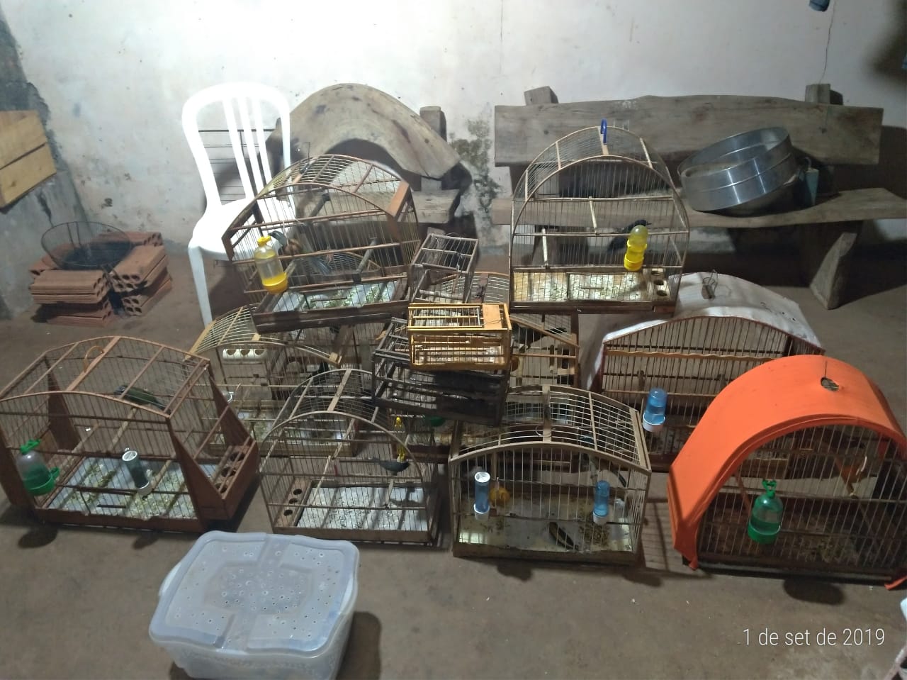 (Foto: Divulgação / PM)