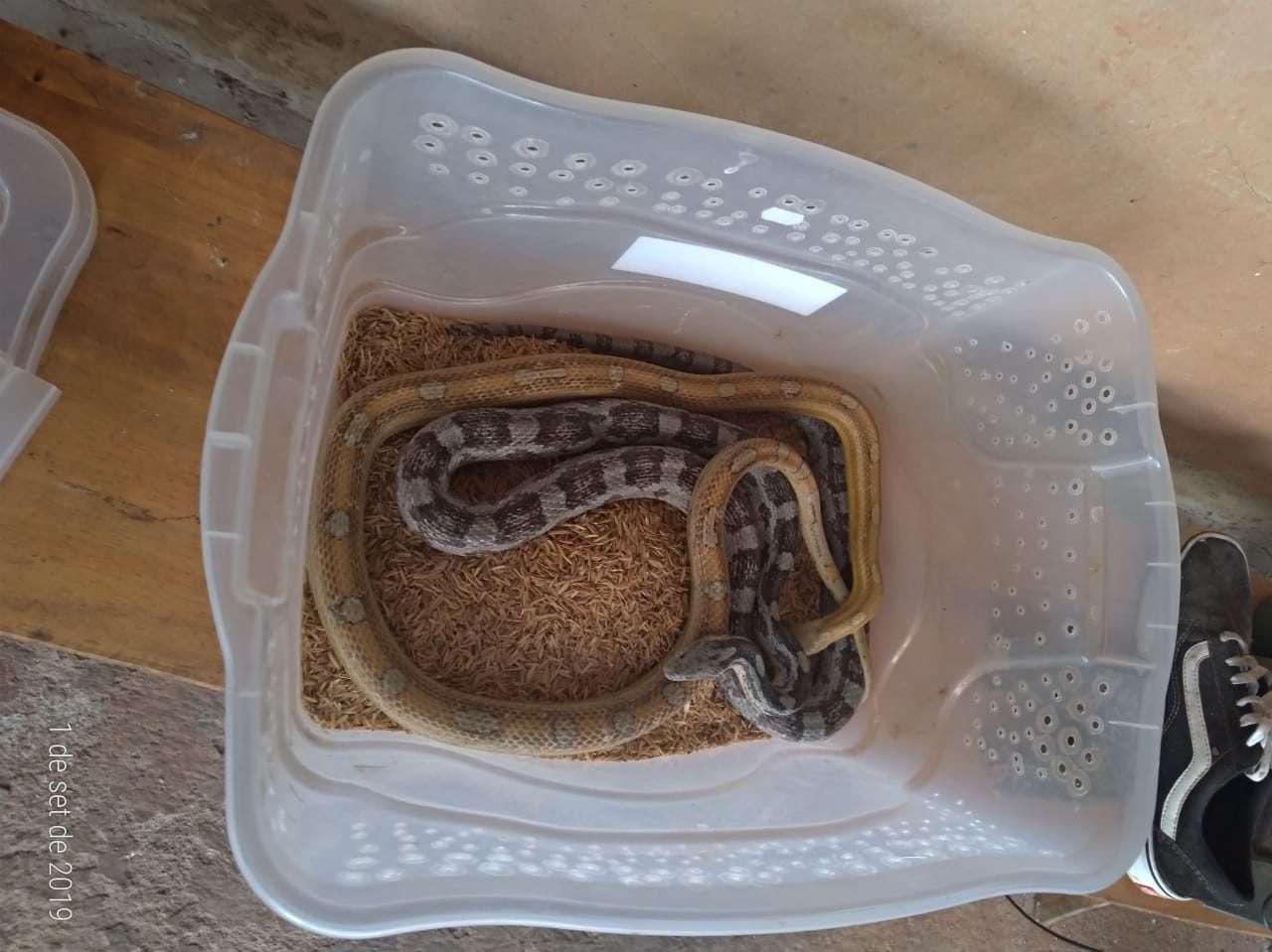 (Foto: Divulgação / PM)