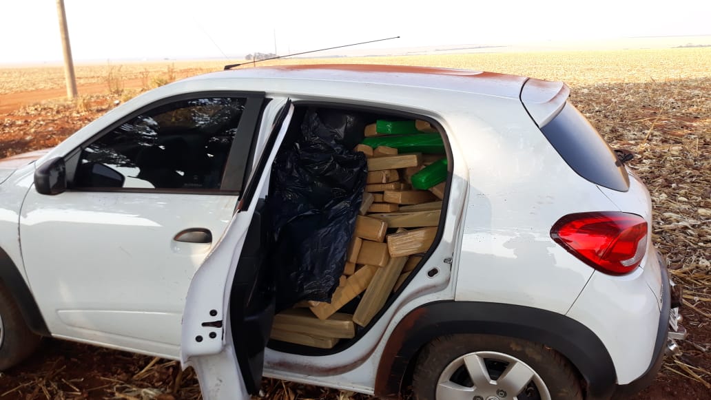  (Foto: Divulgação / PM)