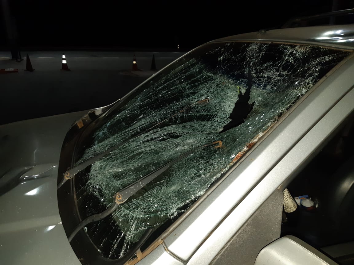 (Foto: Divulgação / PRF)